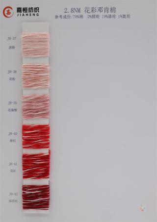 2.8NM 花彩邓肯棉