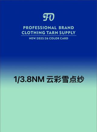 1/3.8NM 云彩雪点纱