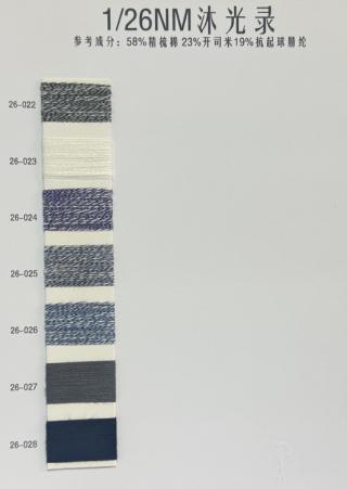 1/26NM沐光录