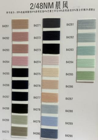 2/48NN晨风