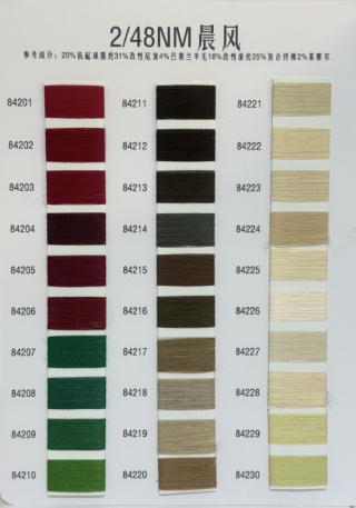 2/48NN晨风