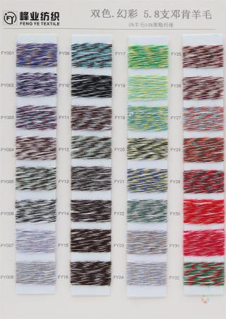 5.8支 邓肯羊毛 双色.幻彩