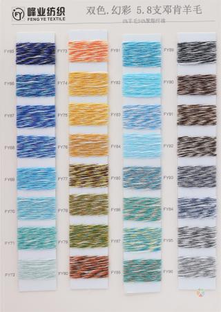 5.8支 邓肯羊毛 双色.幻彩