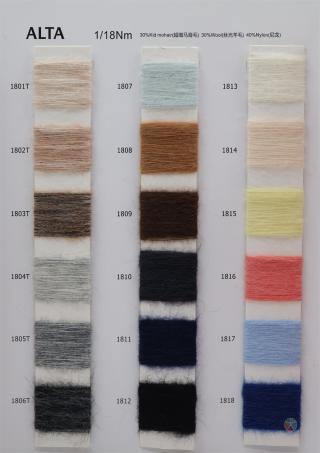 1/18NM  ALTA 阿尔塔马海
