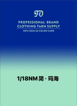 1/18NM简·玛海