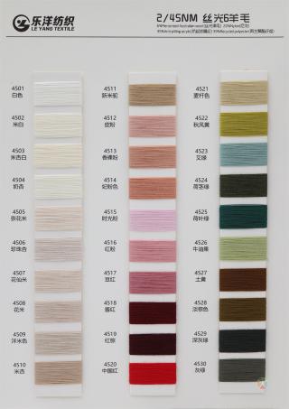 2/45NM 丝光6羊毛