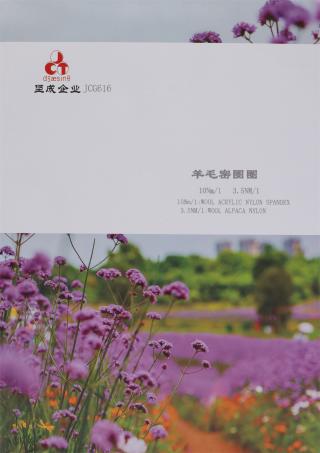 10Nm/1 3.5NM/1 羊毛密圈圈