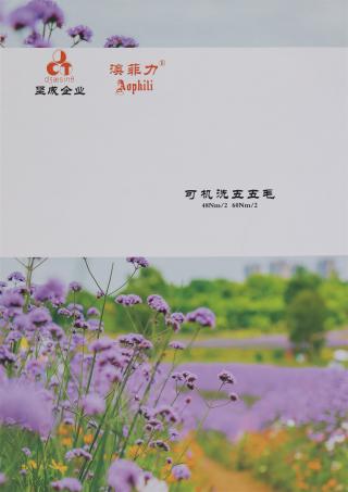 60NM/2 可机洗五五毛