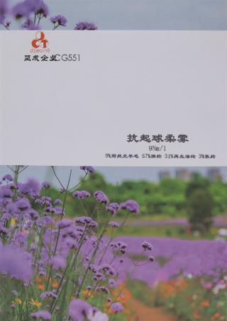 9Nm/1 抗起球柔雾