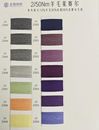 2/50NM羊毛莱赛尔