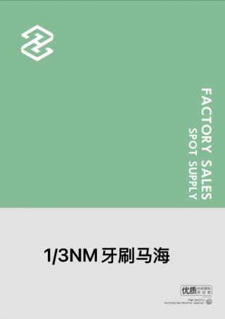 1/3NM牙刷马海