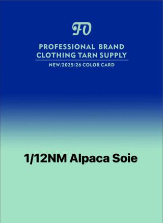 1/12NM Alpaca Soie