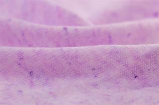  2/48NM彩点亚麻羊毛纱