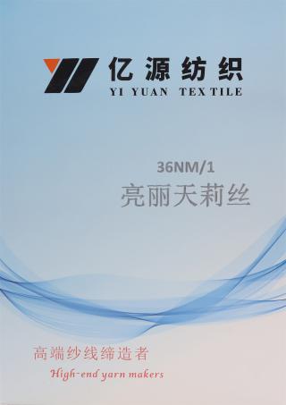 1/36NM 亮丽天莉丝