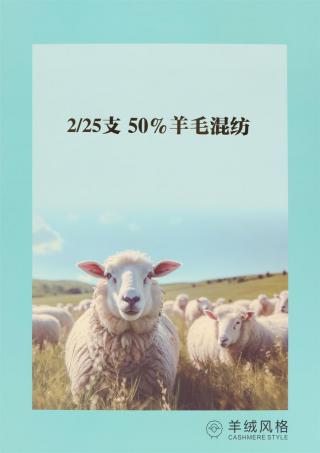 2/25支 50%羊毛混纺