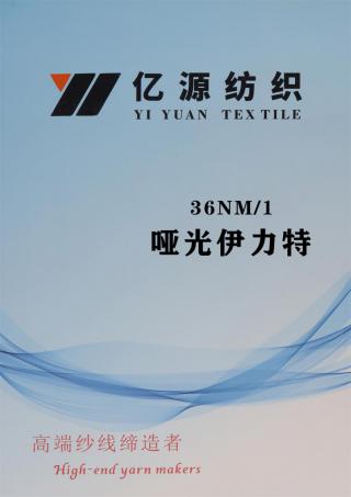 1/36NM 哑光伊力特