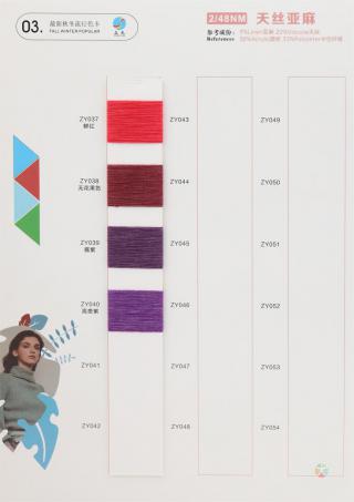 2/48NM 天丝亚麻(亚麻包芯纱)