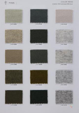 2/26NM 10%山羊绒 90%羊毛