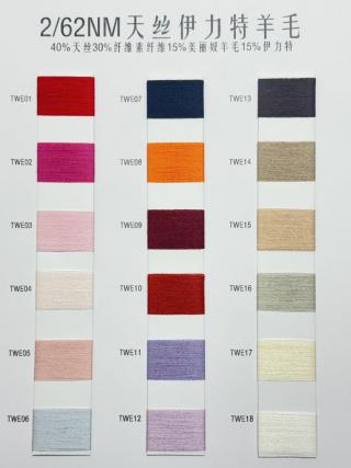 2/62NM天丝伊力特羊毛