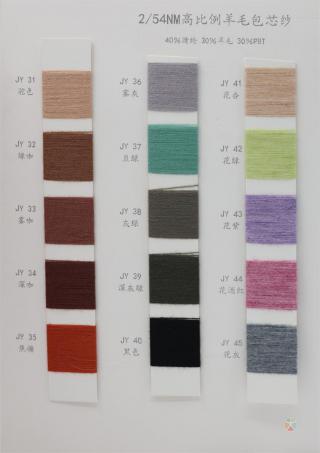 2/54NM 高比例羊毛包芯纱