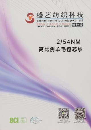 2/54NM 高比例羊毛包芯纱