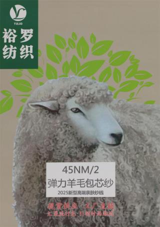 45NM/2 弹力羊毛包芯纱