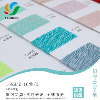16NM/2 16NM/3 幻彩100羊毛