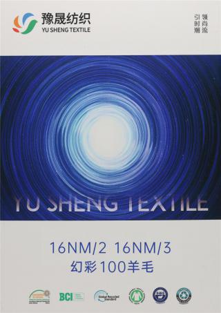 16NM/2 16NM/3 幻彩100羊毛