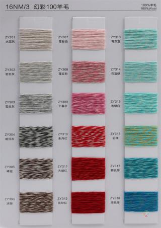 16NM/2 16NM/3 幻彩100羊毛