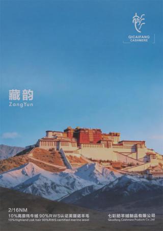 2/16NM 藏韵