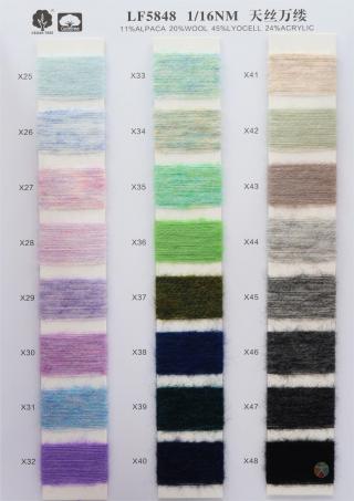 1/16NM LF5848 天丝万缕