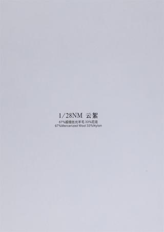 1/28NM 云絮