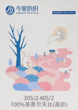 30S/2 40S/2 100%莱赛尔天丝(高捻)