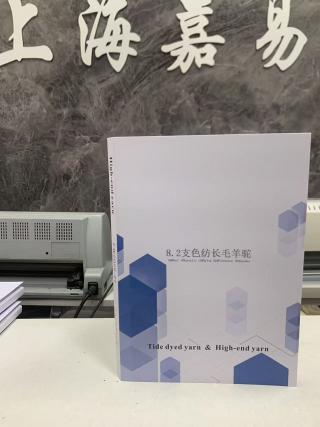 色纺长羊毛驼