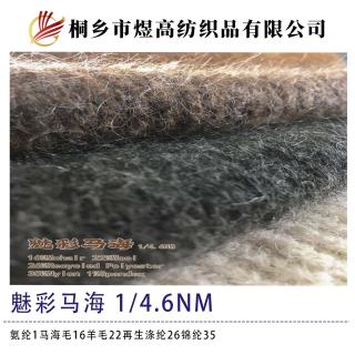 魅彩马海