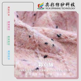 1/13NM 彩点绒