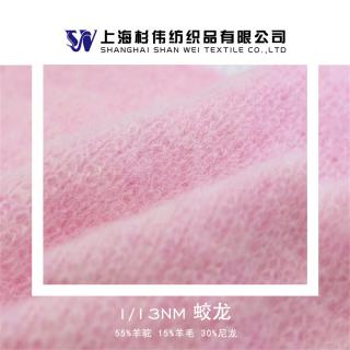 1/13NM 蛟龙