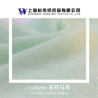 1/40NM 多特马海