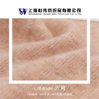 1/25NM 六月