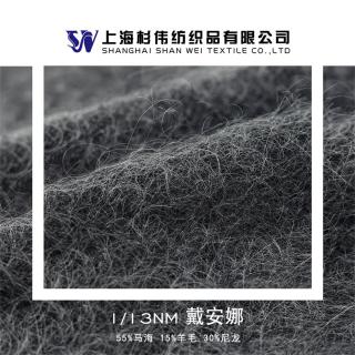 1/13NM 戴安娜