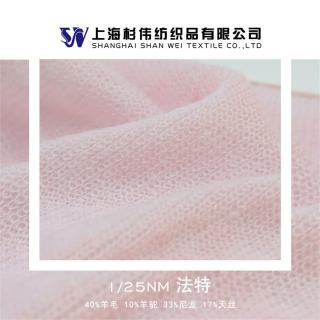 1/25NM 法特