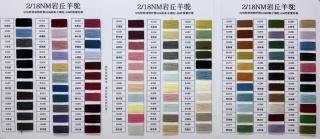 2/18NM岩丘羊驼