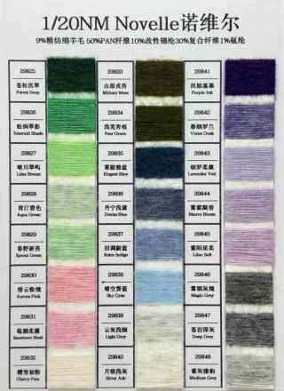 1/20NM Novelle诺维尔