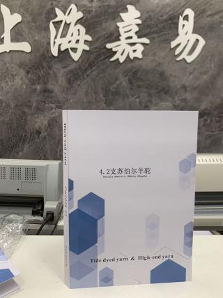 苏泊尔羊驼