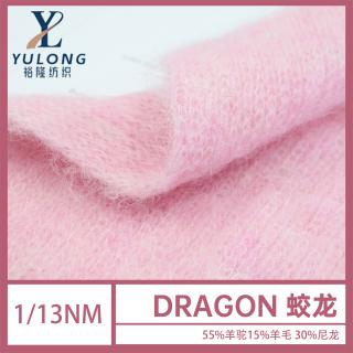 1/13NM DRAGON蛟龙
