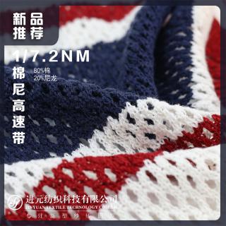 1/7.2NM 棉尼高速带