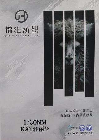 1/30NM KAY雅丽丝