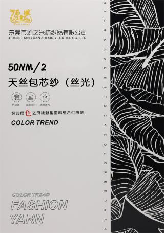 50NM/2 TENCEL CORE-SPUN YARN 50NM/2 天丝包芯纱（丝光）