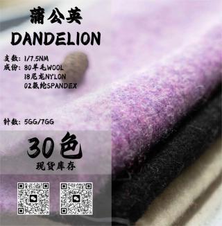 蒲公英-DANDELION