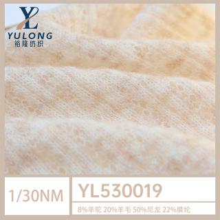 1/30NM YL530019